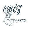 eröz pegasus logosu