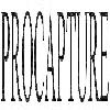 procapture logosu