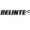 delinte logosu
