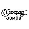 gençay gümüş logosu