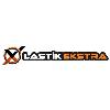 lastikekstra logosu
