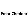 pınar cheddar logosu