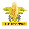 çukurova maize logosu