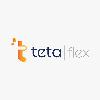 tetaflex logosu