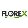 florex logosu
