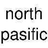 north pasific logosu