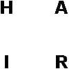 hair logosu