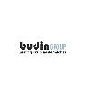 budin group printing inks & masterbatches logosu