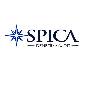 spıca denetim audıt logosu