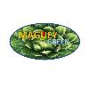 maguey green logosu