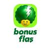 bonus flaş logosu