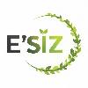 e'siz logosu