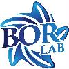 bor lab logosu