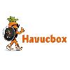 havucbox logosu