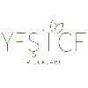 yeşilce villaları logosu