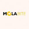 mola bite logosu