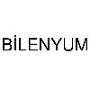 bilenyum logosu