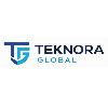 teknora global logosu