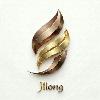 jilong logosu