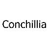 conchillia logosu