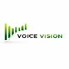 voice vision logosu