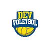 dev voleybol logosu