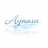 aynasu logosu