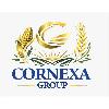 cornexa group logosu