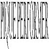 pique performer logosu