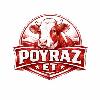 poyraz et logosu