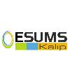 esums kalıp logosu