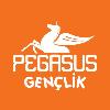 pegasus gençlik logosu