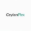 ceylanflex logosu
