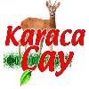 karaca çay logosu
