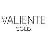 valiente gold logosu