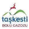 taşkesti bolu gazozu logosu