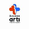 özlüce artı okulları logosu