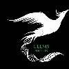 ceems phoenix logosu