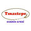 tınaztepe egenin efesi logosu