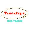 tınaztepe ege yıldızı logosu