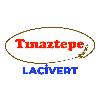 tınaztepe lacivert logosu