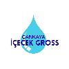 çankaya içecek gross logosu