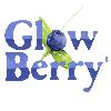 glow berry logosu