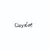 caydet logosu