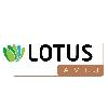 lotus avlu logosu