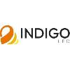 indigo led logosu