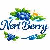 neri berry logosu