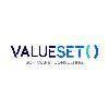 valueset software consulting  logosu