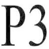 p3 logosu