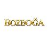 bozboğa logosu